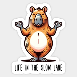 Life In The Slow Lane Sticker